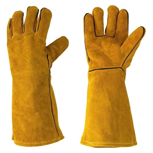 Thorn proof gardening - thorn,