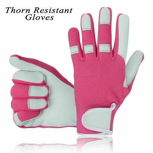 Thorn proof resistant gloves - resistant,