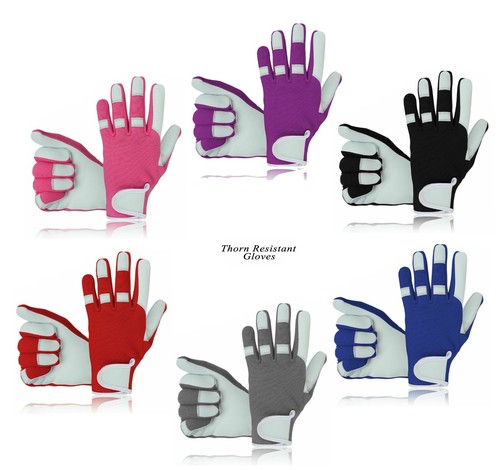 Ladies men leather gardening - ladies,