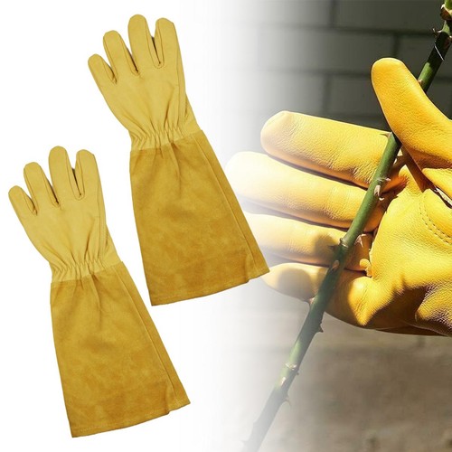 Thorn proof gardening - proof,
