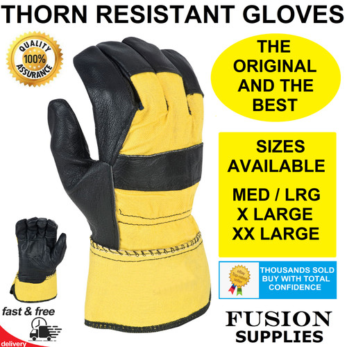 Thorn proof gardening - thorn,
