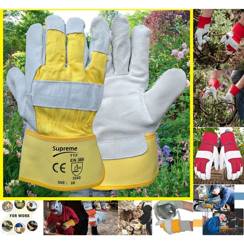 Thorn proof gardening - thorn,